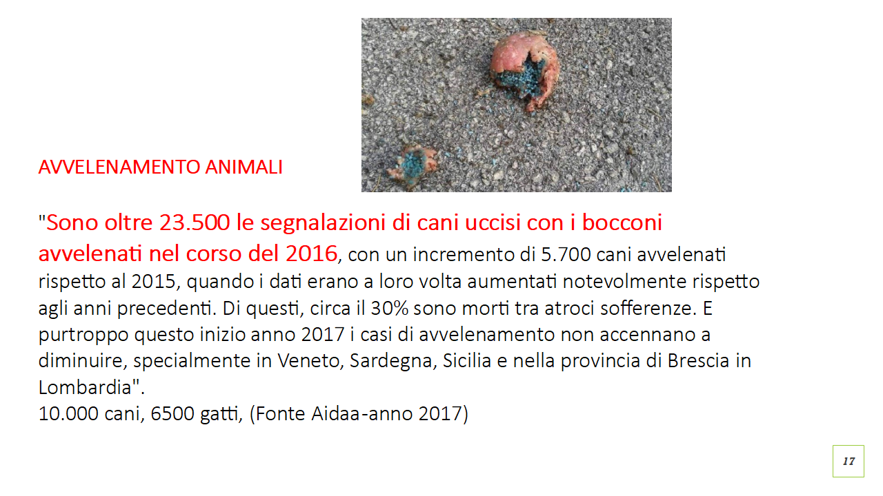 Reati_sugli_aniamali_tavola_avvelenamenti_2016_Aidaa